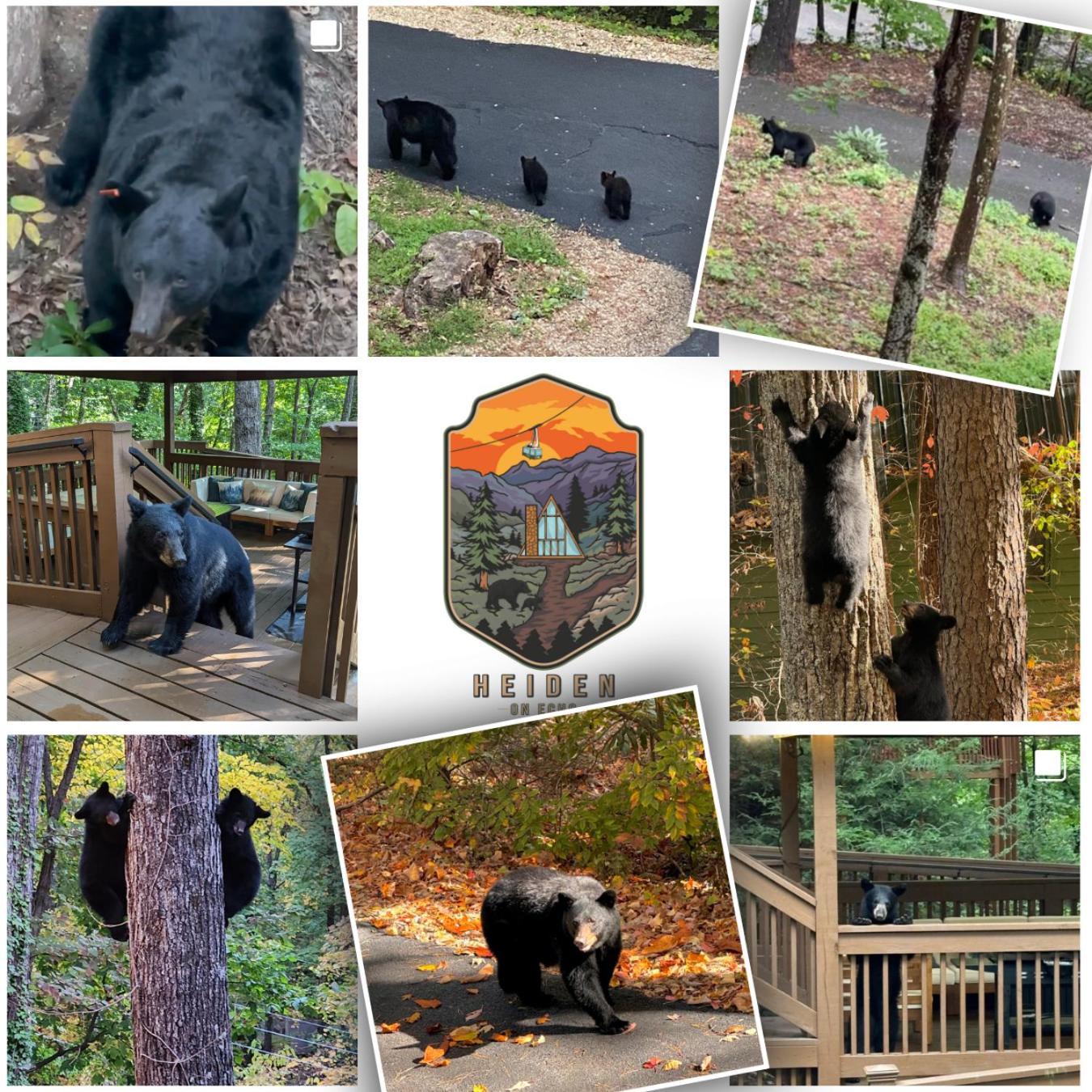 1Mile Downtown, Handicap Ramp, Hot Tub, Game Room Gatlinburg Dış mekan fotoğraf
